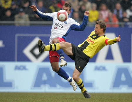 项研究指出 项研究指出